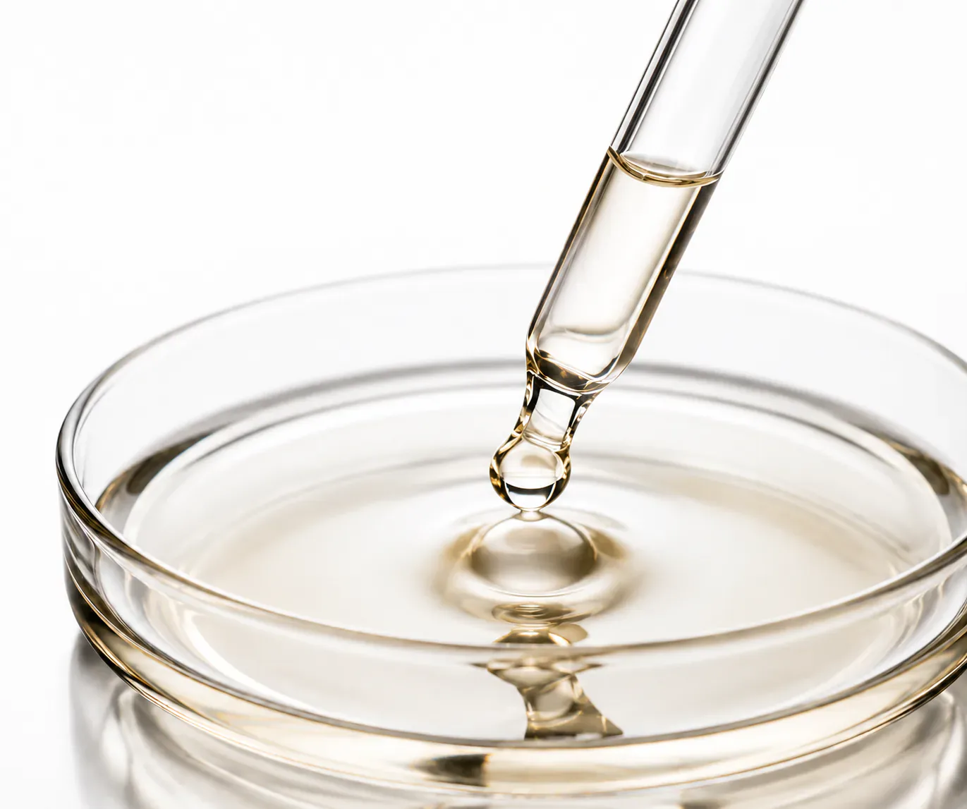 Explore Fragrances — Perfume Oil Library | ScentLab